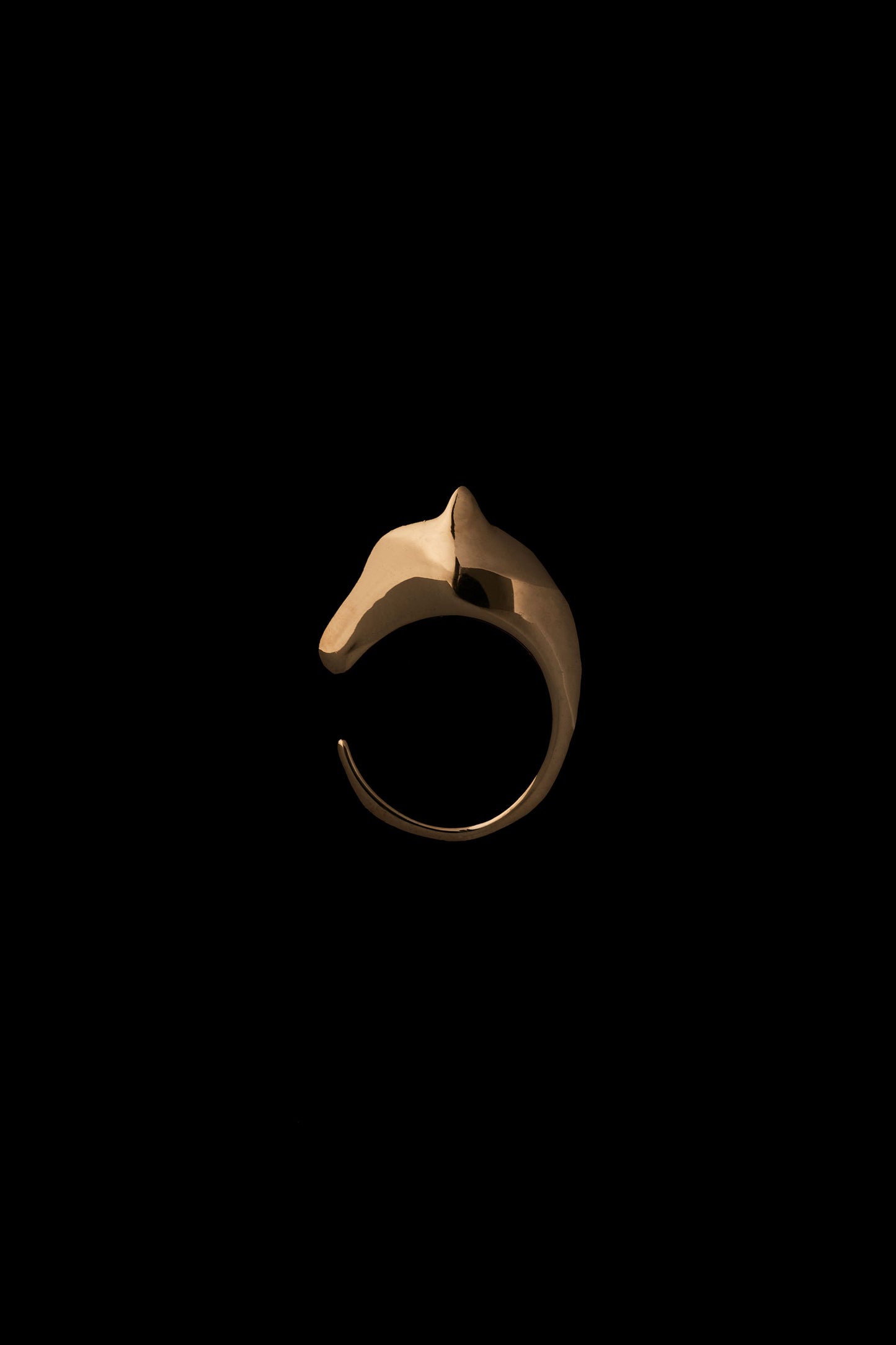 HORSE RING