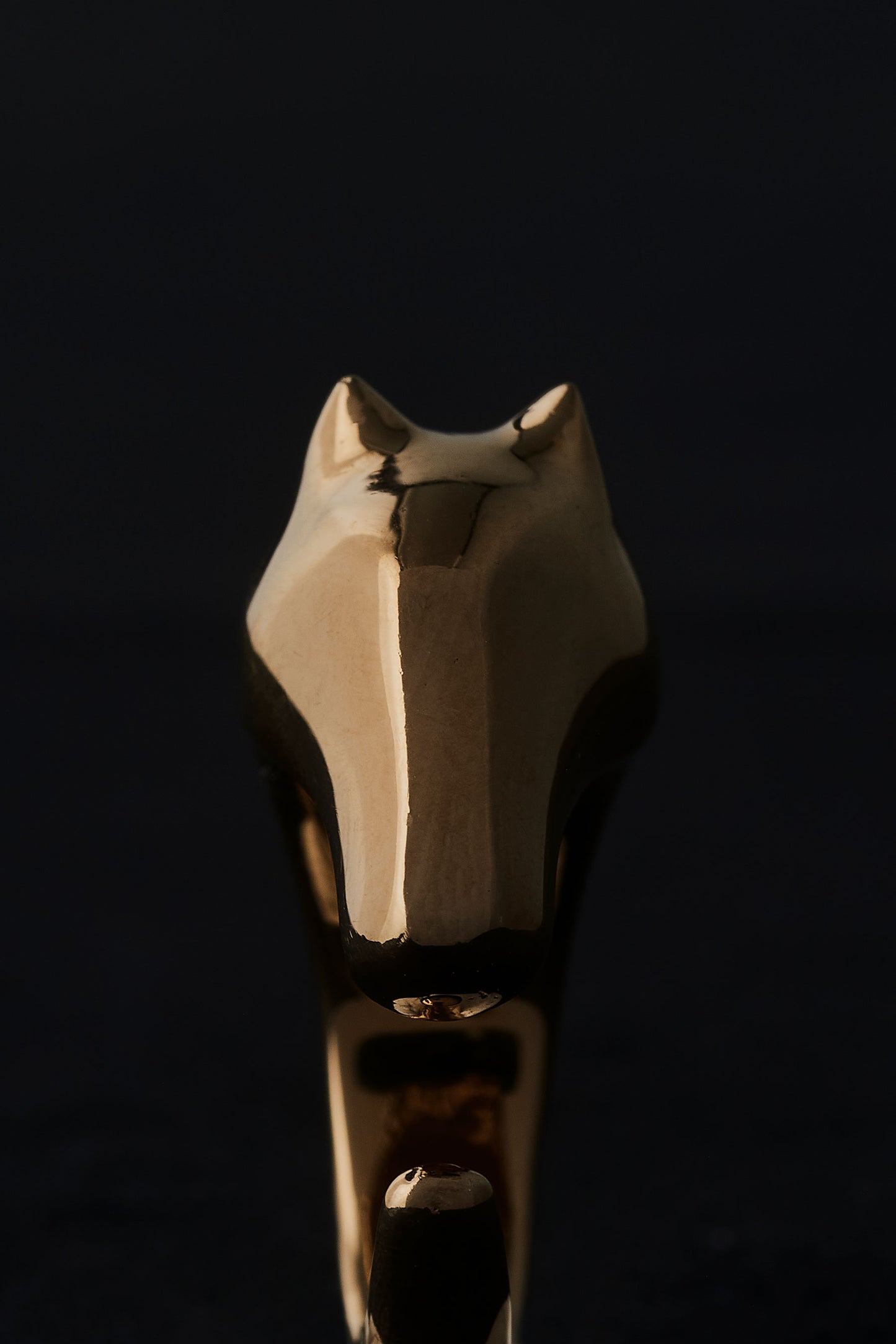 HORSE RING