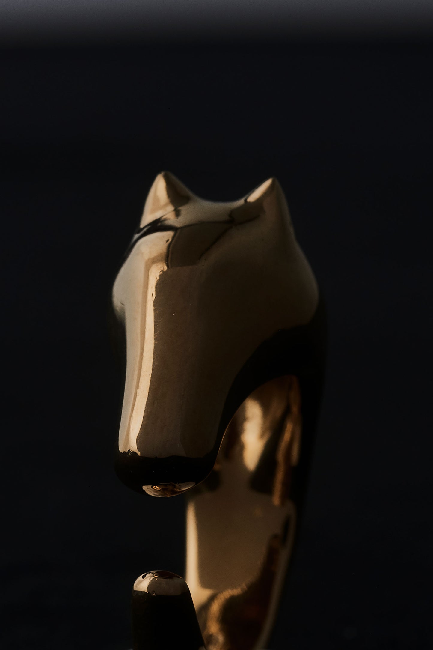 HORSE RING