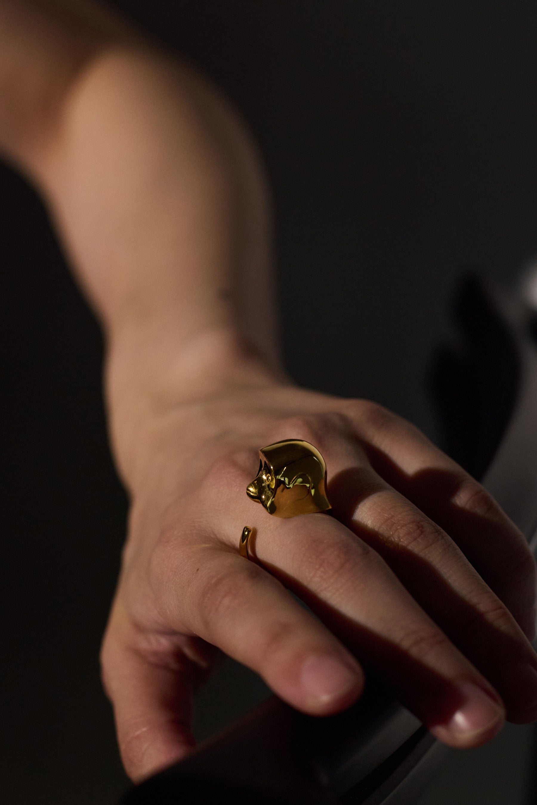 MONKEY RING｜R.ALAGAN(ララガン)公式通販｜モンキーリング(猿