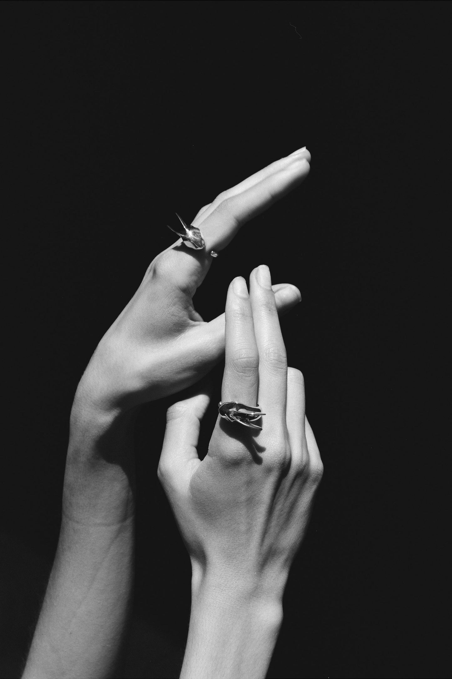 MOON RABBIT RING