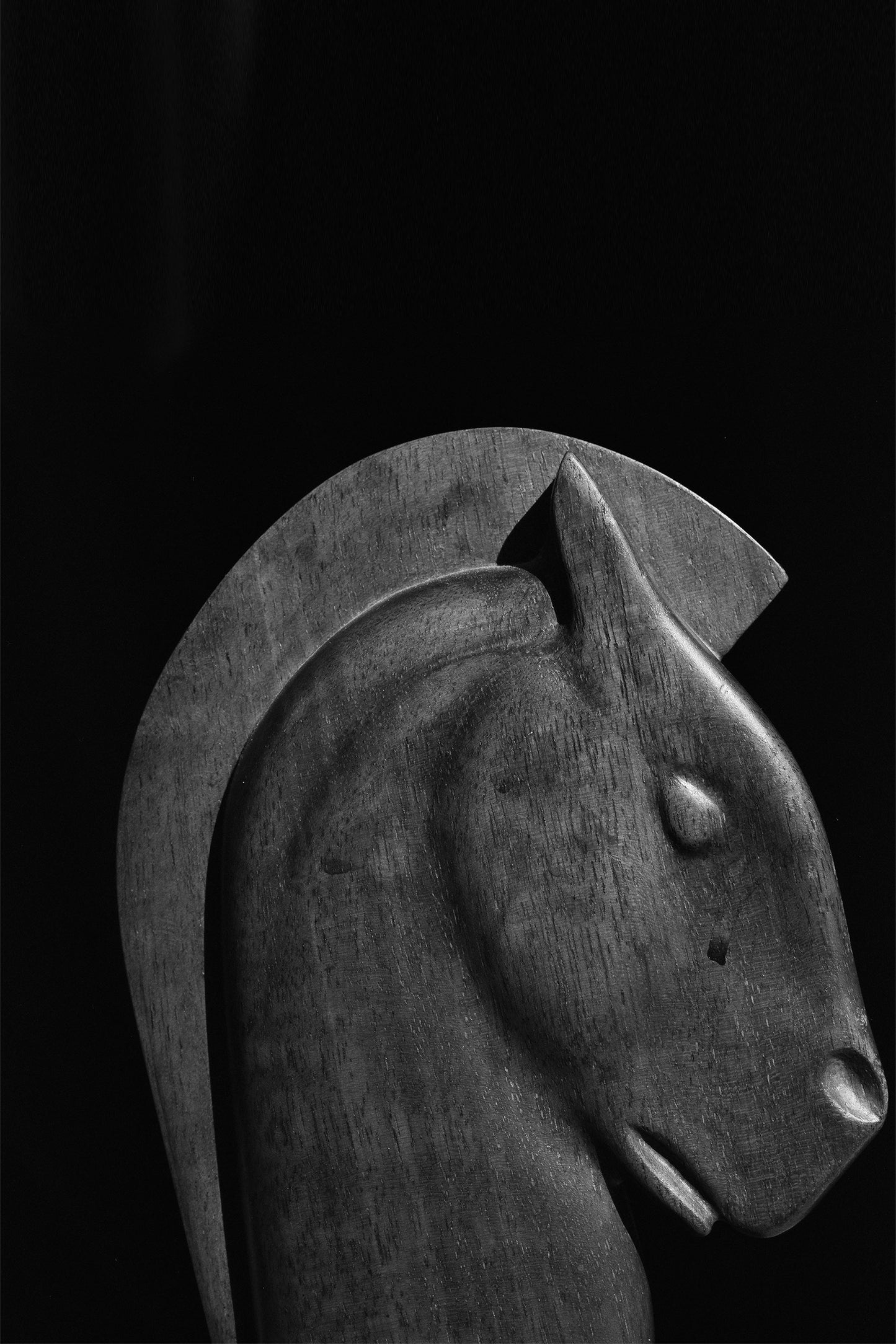 HORSE RING