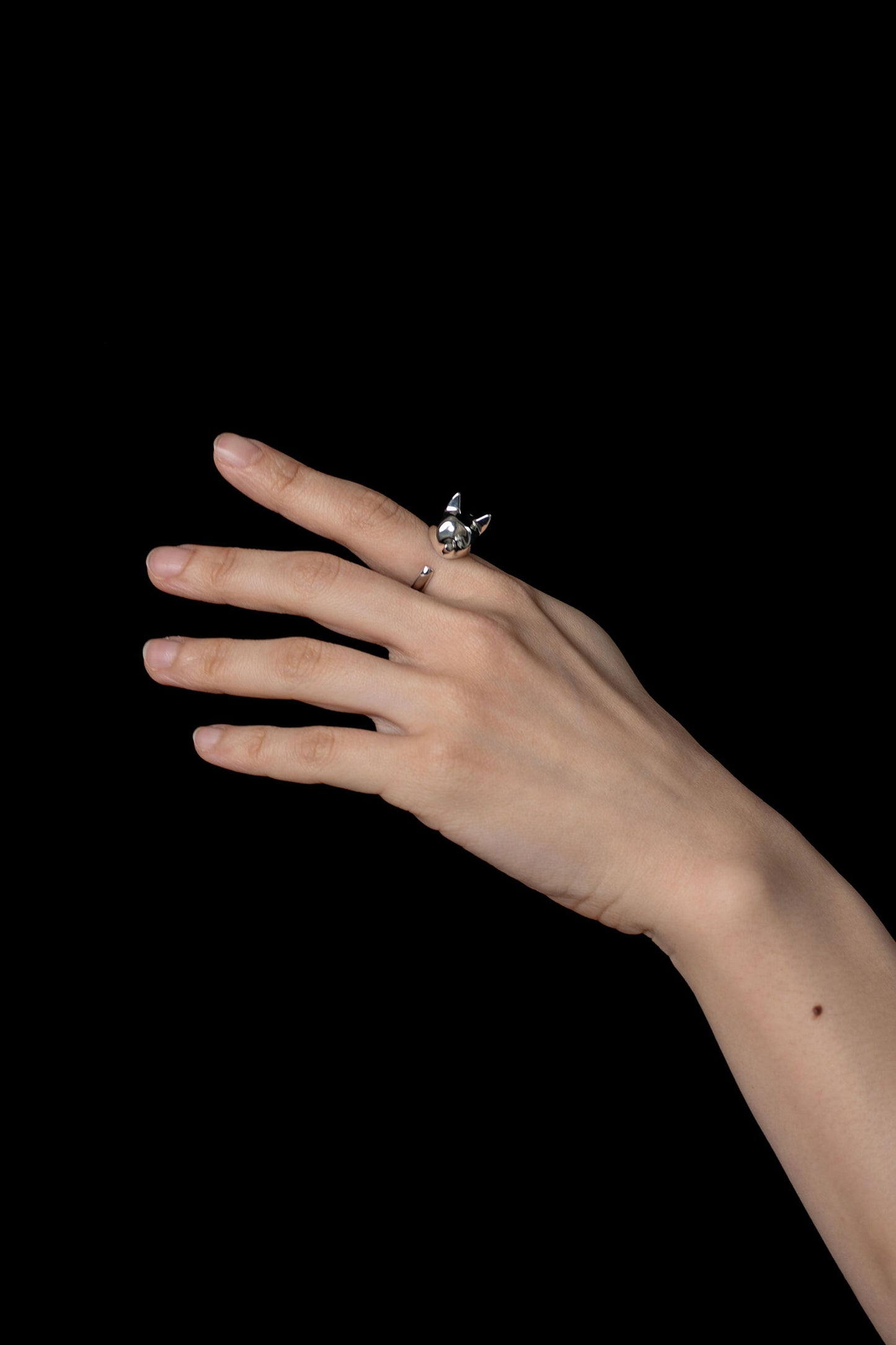 ETO DOG RING