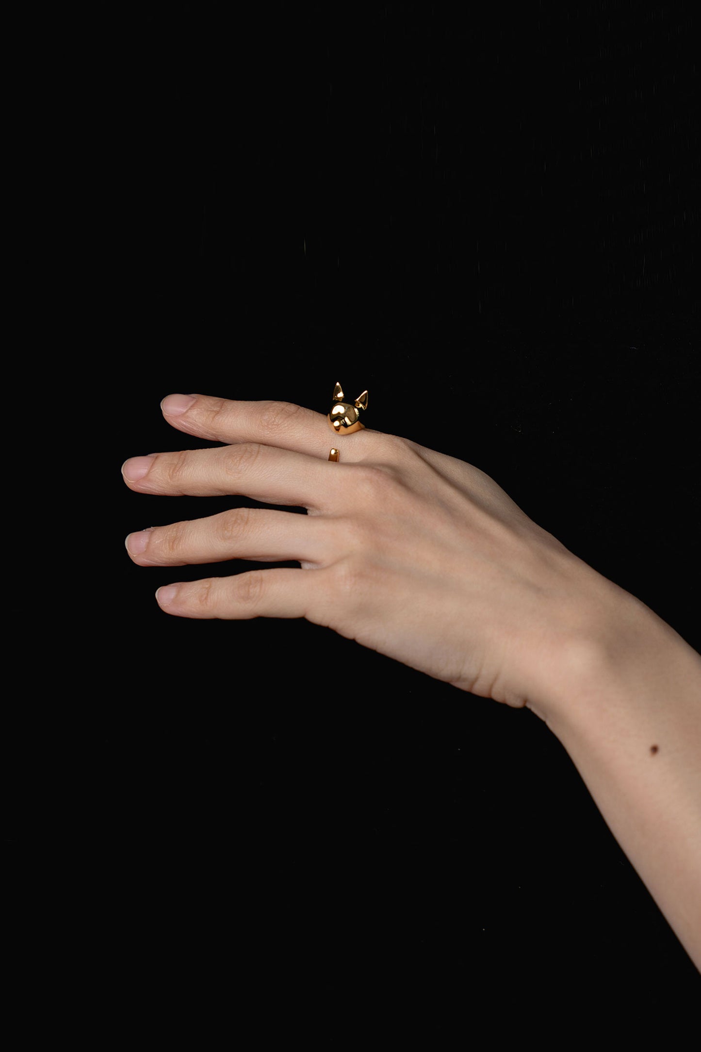 ETO DOG RING