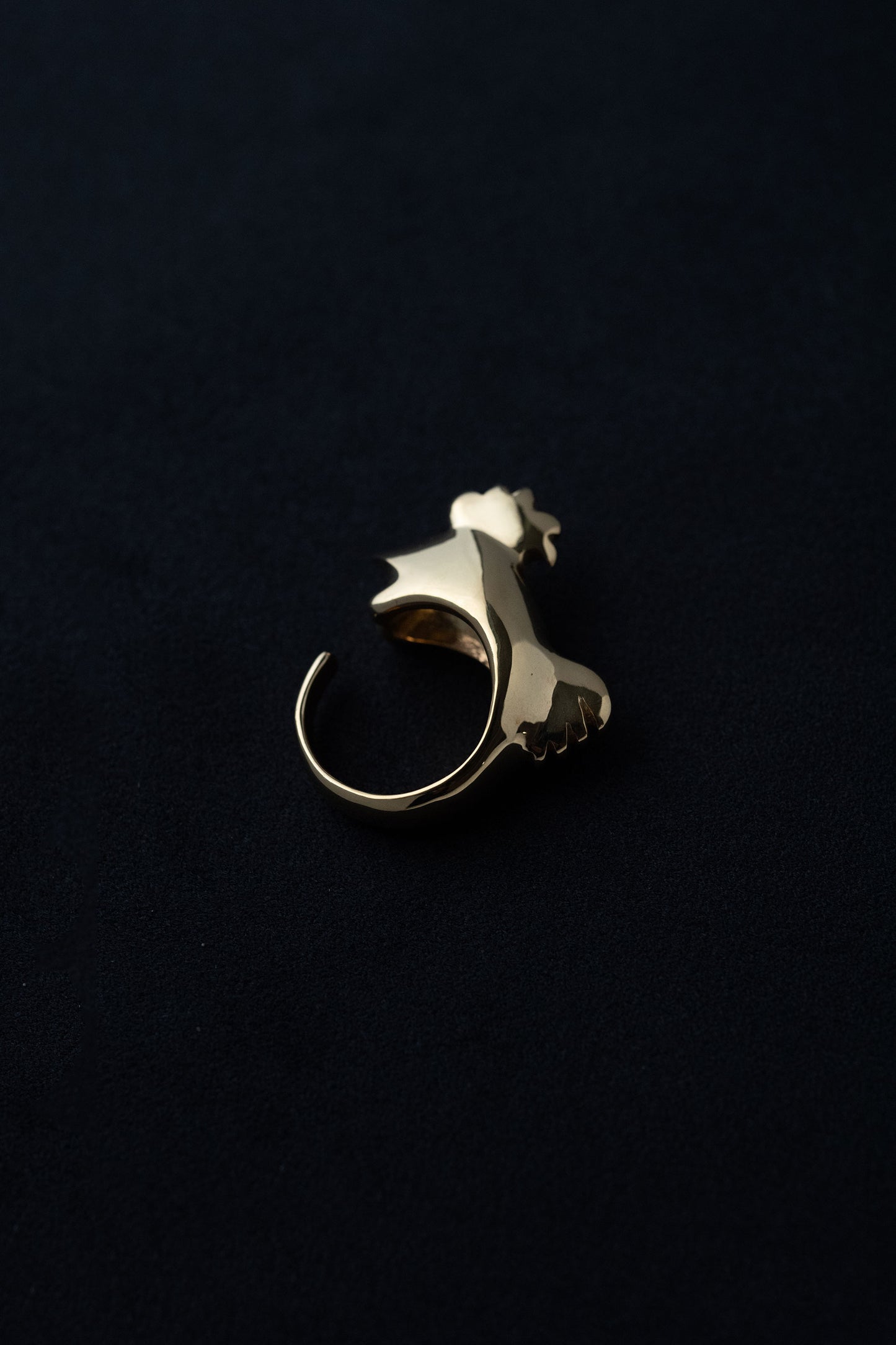 ROOSTER RING