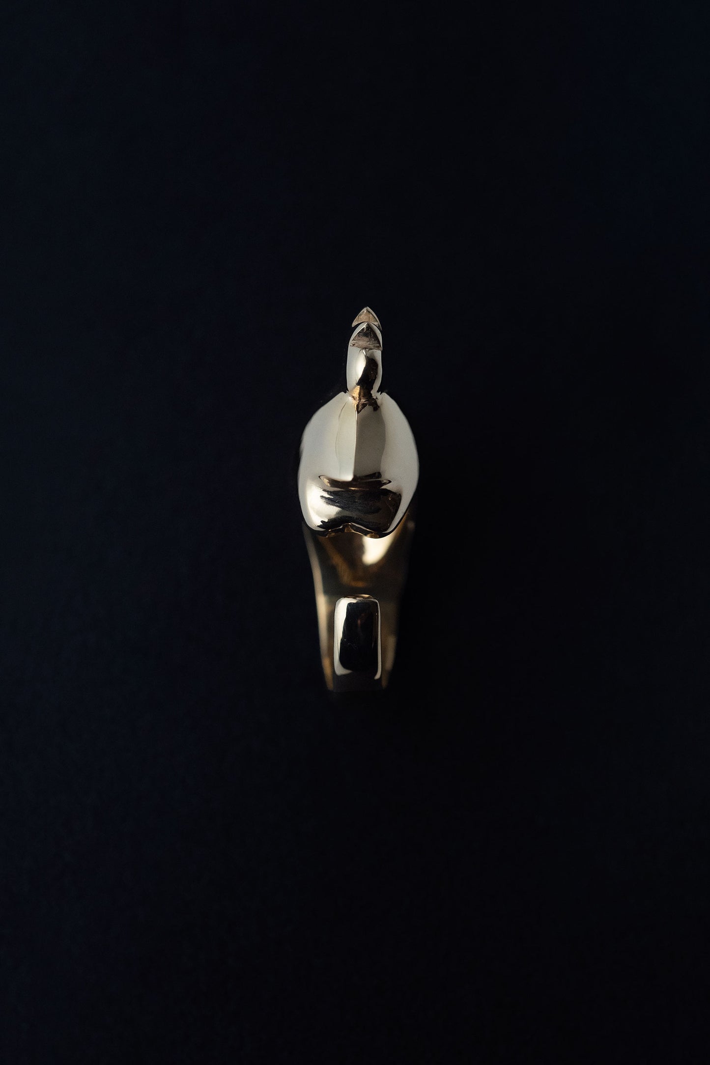 ROOSTER RING
