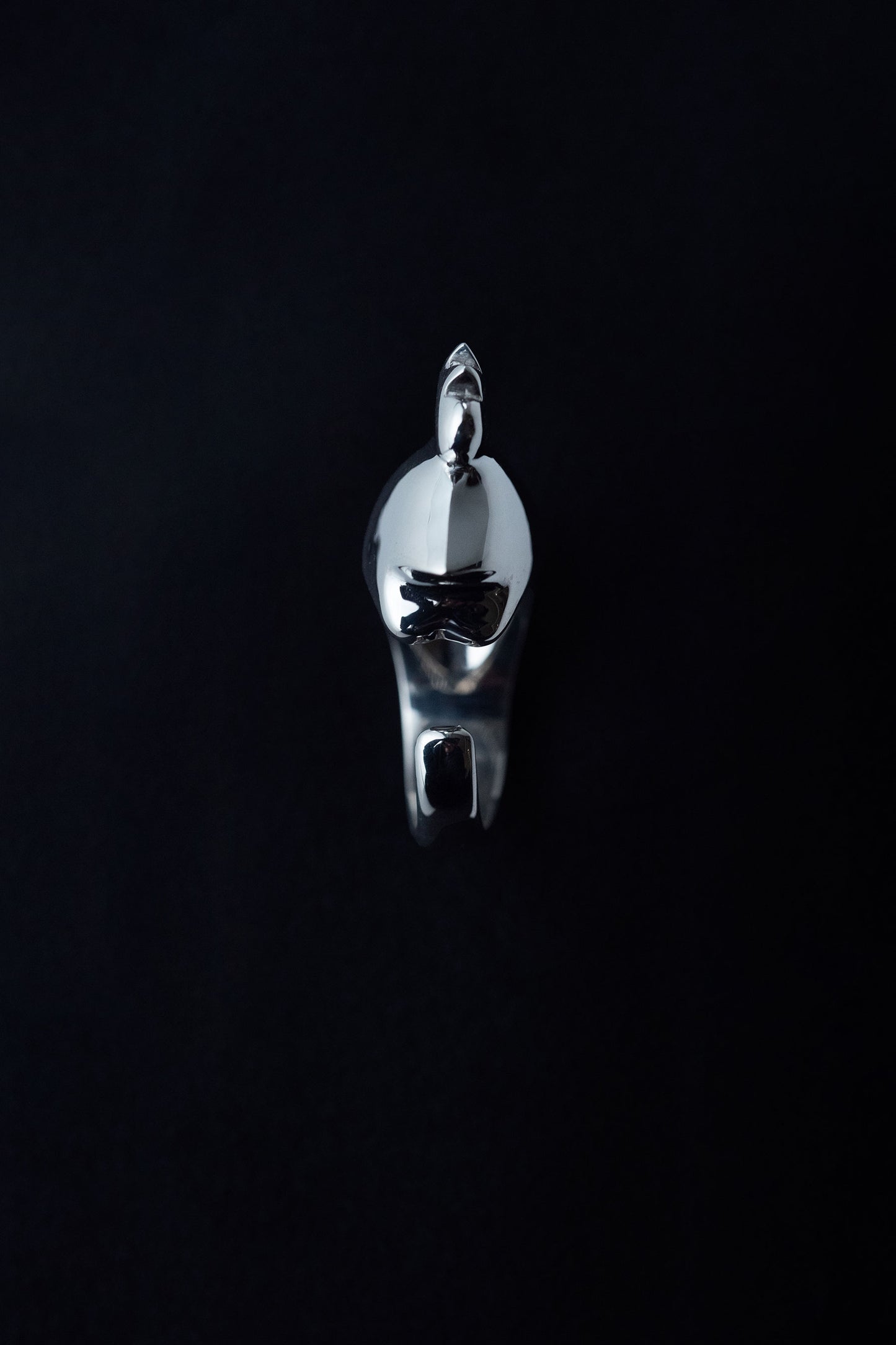 ROOSTER RING