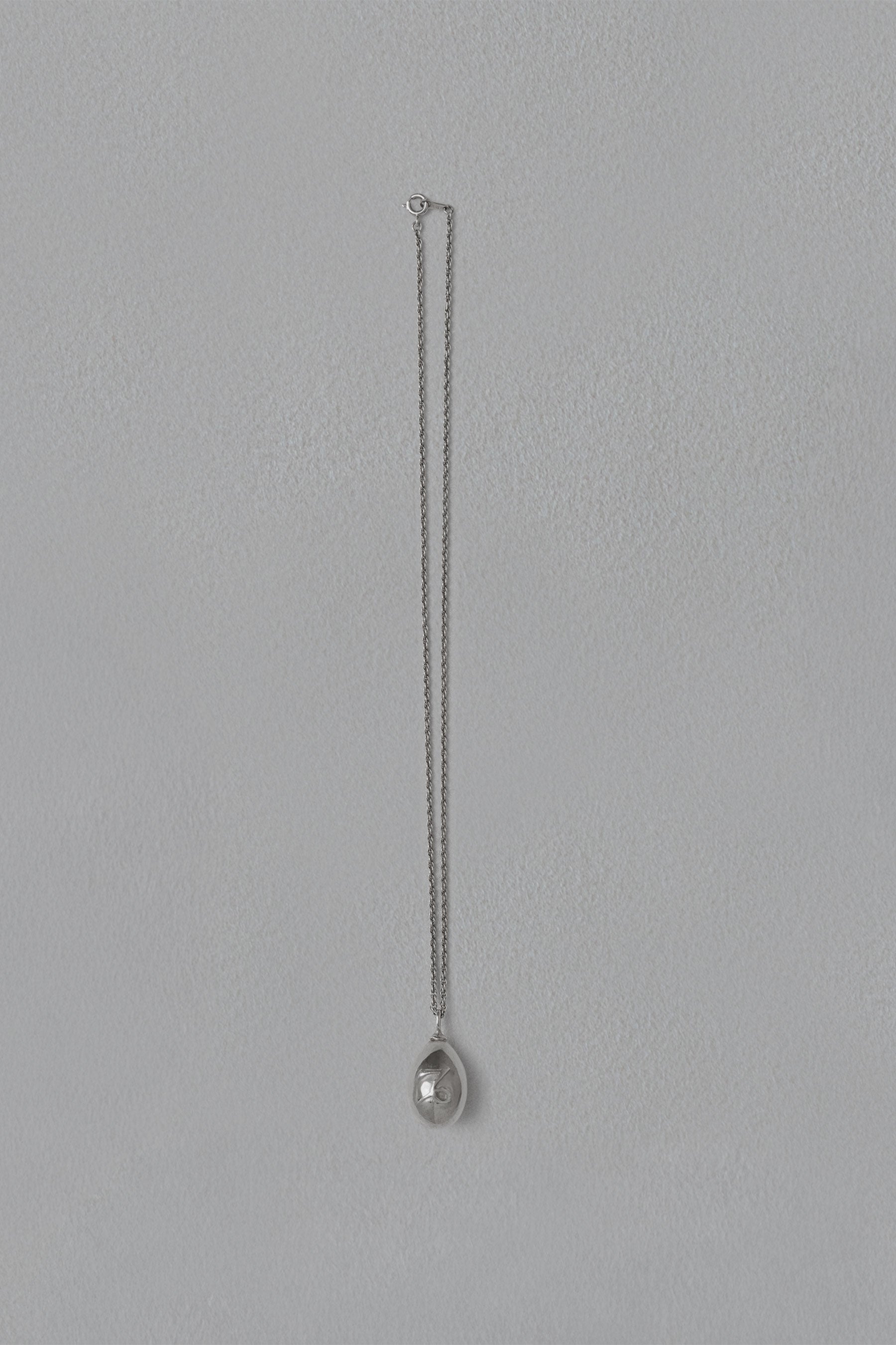 ASTROLOGY NECKLACE/山羊座