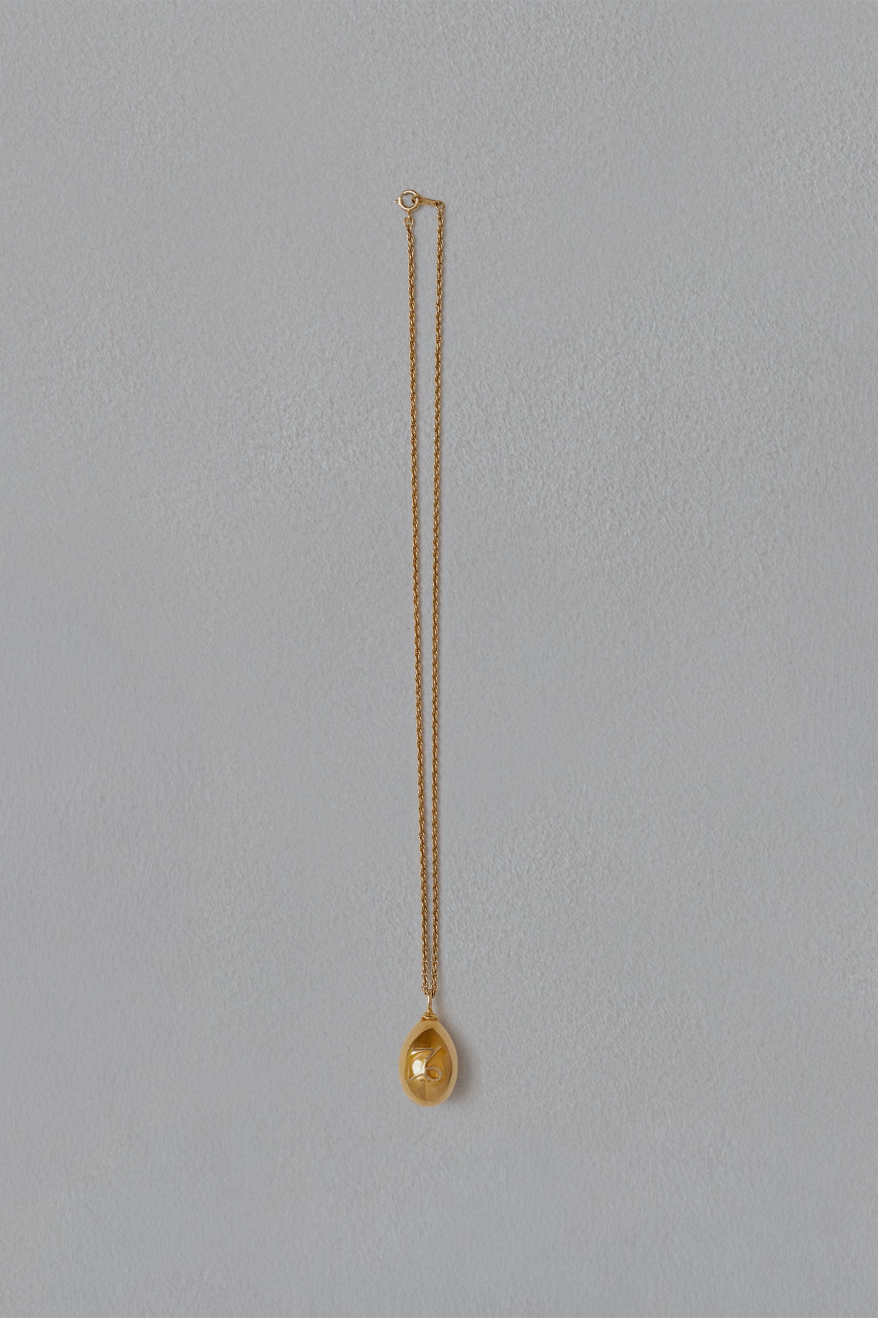 ASTROLOGY NECKLACE/山羊座