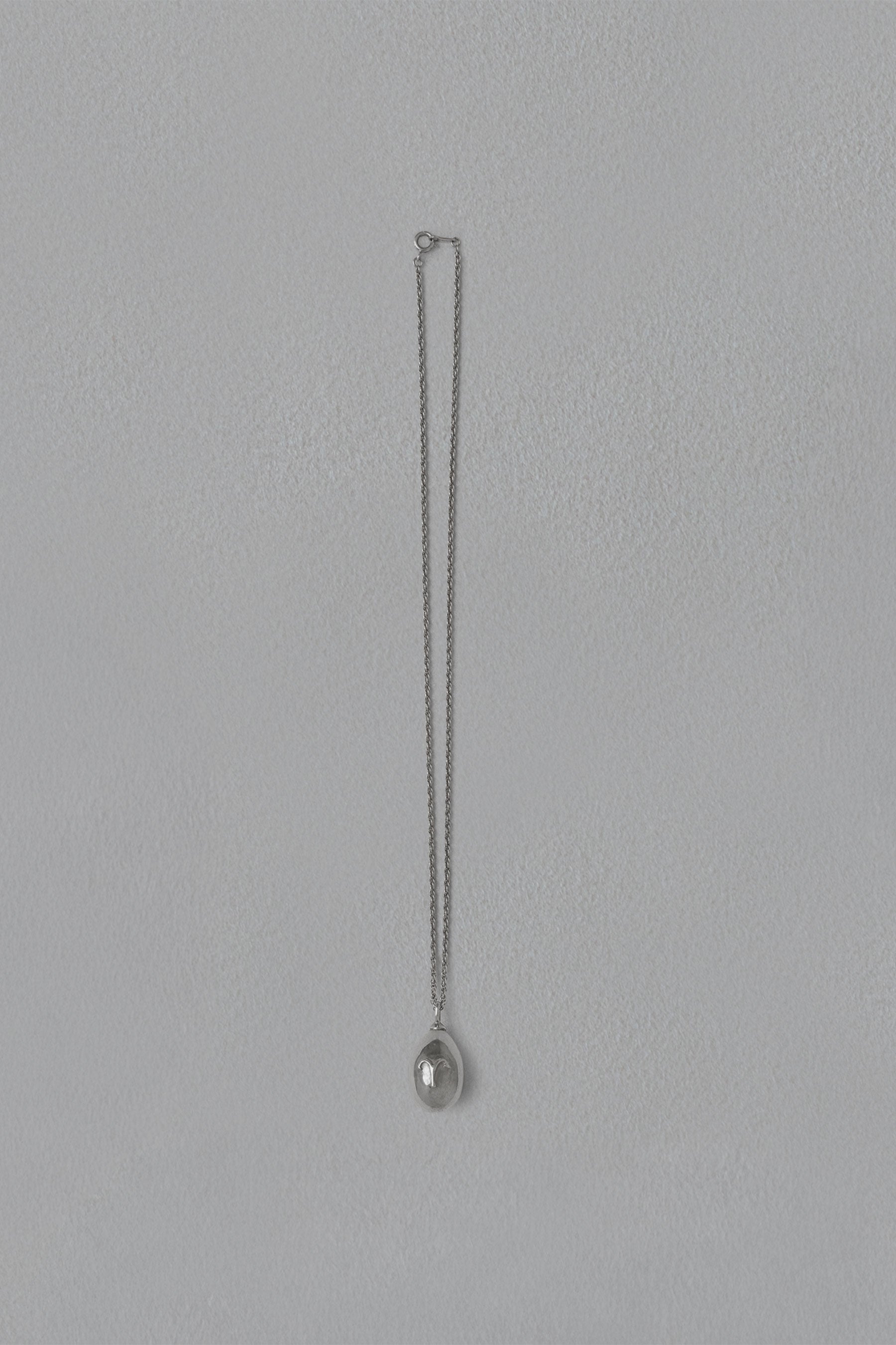 ASTROLOGY NECKLACE/Aries