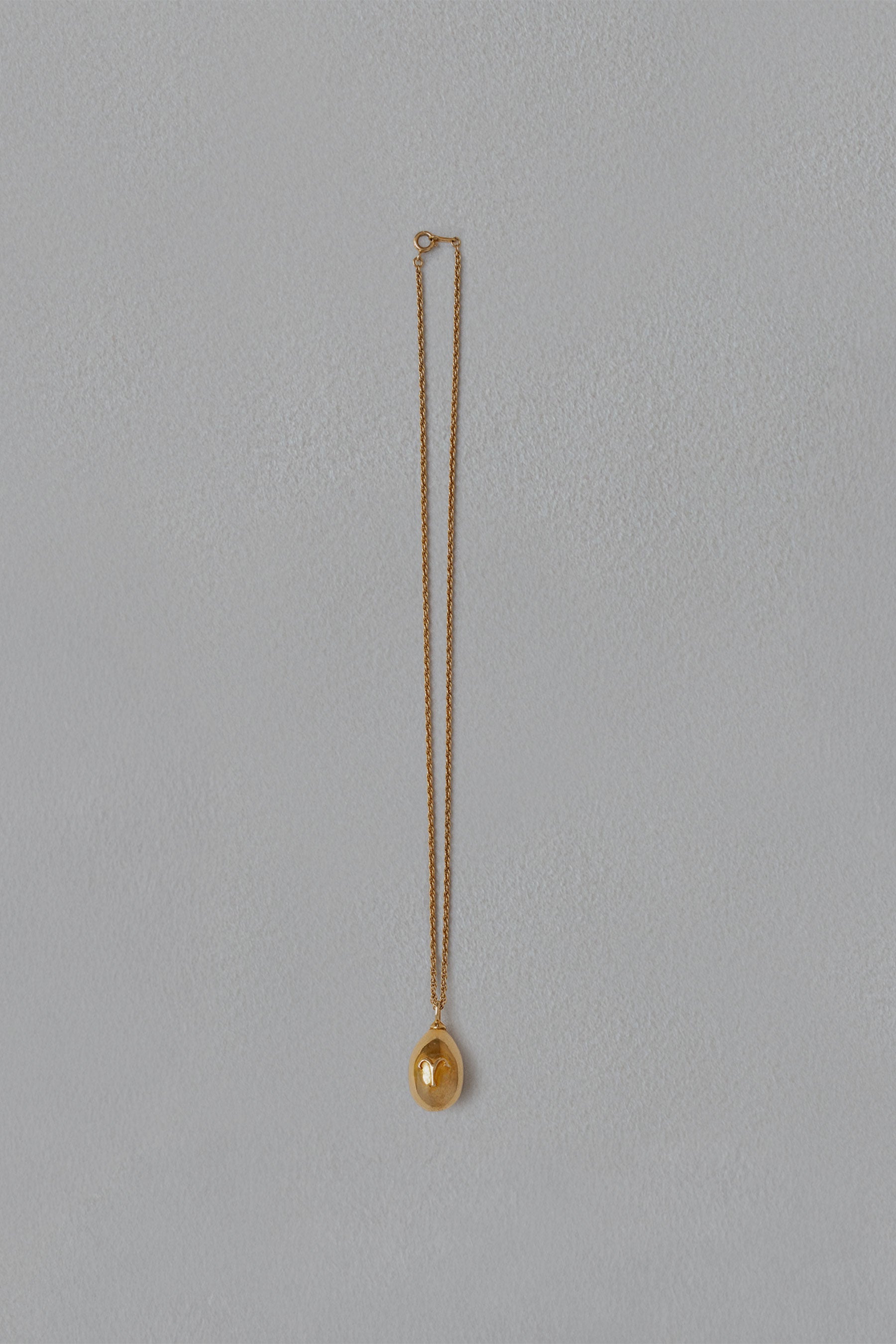 ASTROLOGY NECKLACE/牡羊座