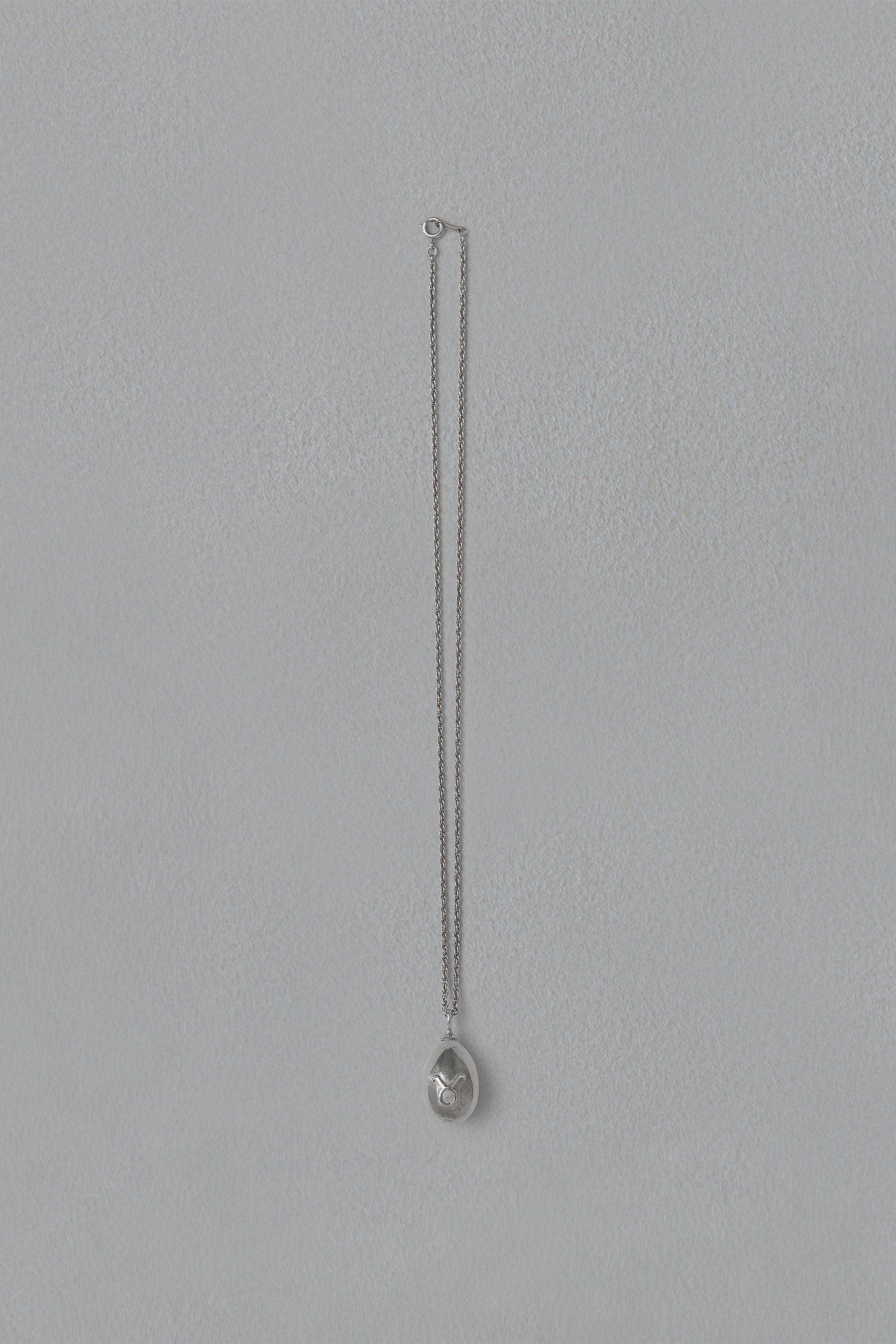 ASTROLOGY NECKLACE/Taurus